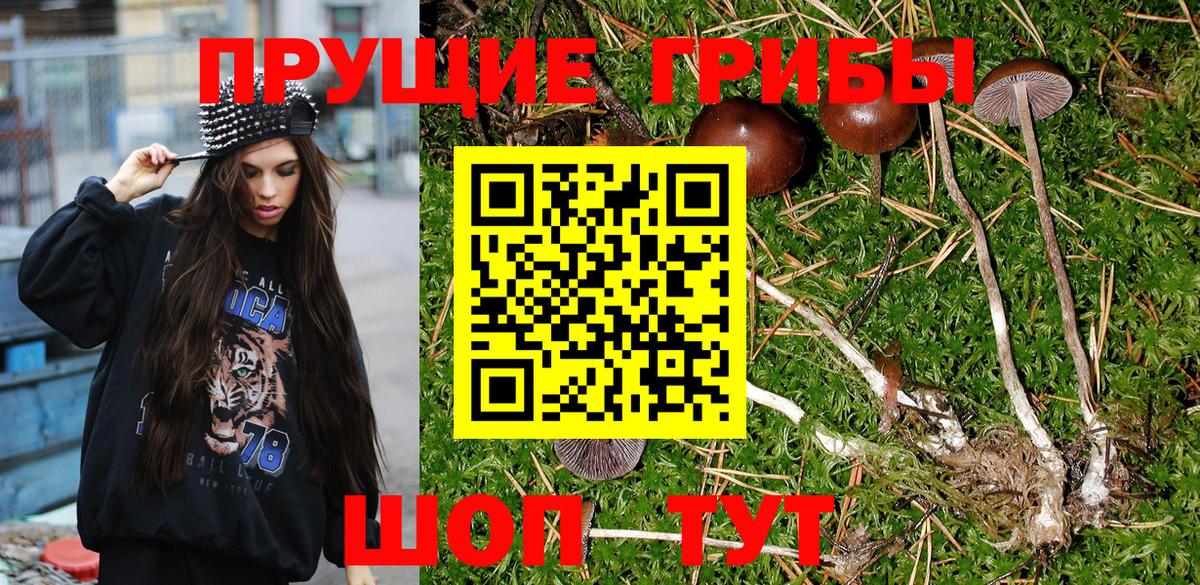 Галлюциногенные грибы GOLDEN TEACHER Коряжма