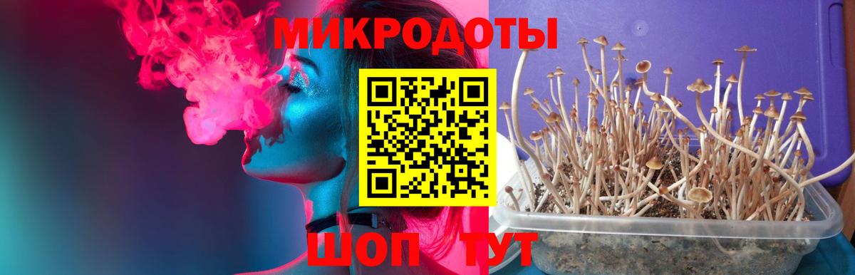 Коряжма  Псилоцибиновые грибы MAGIC MUSHROOMS  Галлюциногенные грибы MAGIC MUSHROOMS  Вход с VPN 